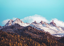 博鱼电竞平台-开云体育APP：用极致体验点亮你的体育新世界